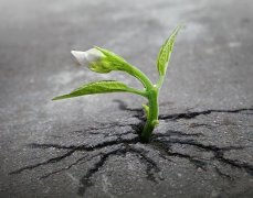 土壤測試儀提高土壤的重復(fù)利用率 保障土壤肥力