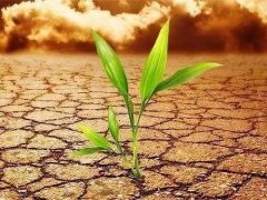您了解土壤重金屬檢測(cè)儀嗎？