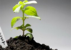 土壤養(yǎng)分分析儀幫助測定土壤有機質